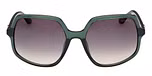 SHINY DARK GREEN / SHINY DARK GREEN / GRADIENT GREEN