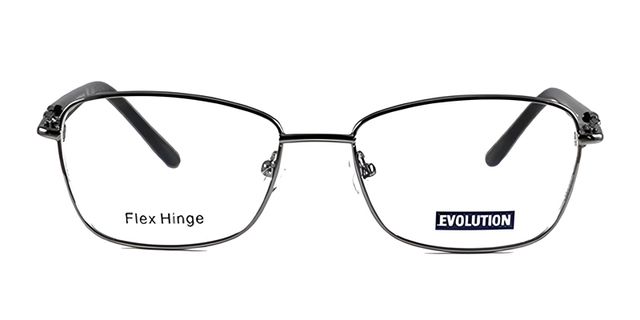 Evolution - EV1107