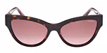 DARK HAVANA / ANIMAL / MONOCOLOR / GRADIENT BROWN
