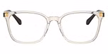 Transparent Light Brown / Brown