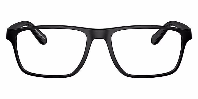 Emporio Armani - EA3233