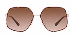 Light Gold / Dark Tortoise / Brown Gradient