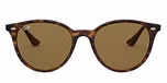 HAVANA / havana / dark brown