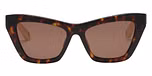 SHINY BROWN/YELLOW HAVANA / BROWN