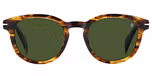 BROWN HORN / GREEN