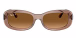 Transparent Beige / Brown / Gradient Brown Polarized