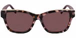 BLUSH TORTOISE