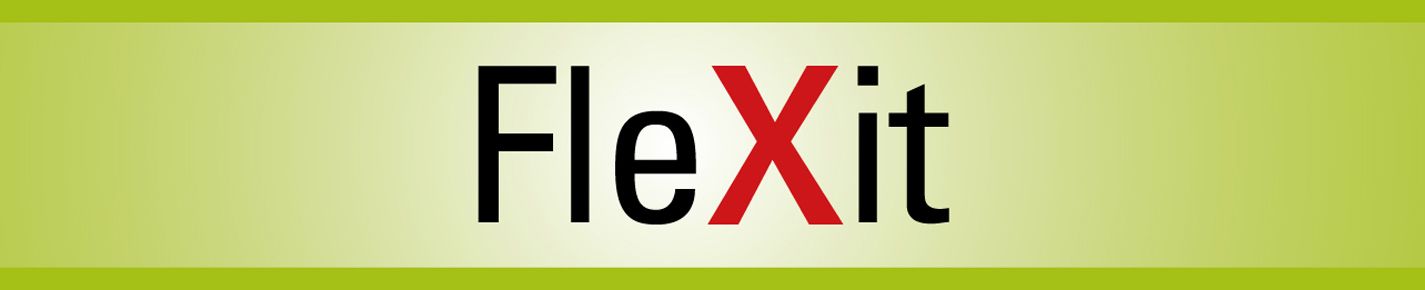 Flexit designer sunglassess desktop banner