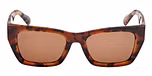 DARK HAVANA / DARK HAVANA / BROWN