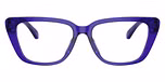 Shiny Transparent Purple