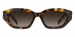 HAVANA (BROWN SHADED / GRADIENT)