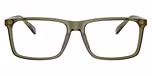 Transparent Olive
