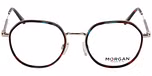 TORTOISE MEDIUM TRANSPARENT