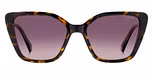 HAVANA / BURGUNDY SHADED POLARIZED