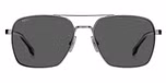 MATTE RUTHENIUM (GREY POLARIZED) 