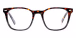 Classic tort / grey