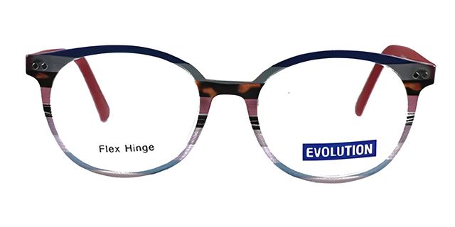 Evolution - EV1104