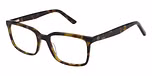 TORTOISESHELL
