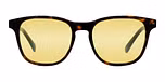 Black Havana / Photochromic Yellow Lynx