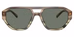 Olive Tortoise / Green Solid