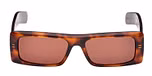 DARK HAVANA / DARK HAVANA / BROWN