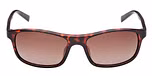 DARK HAVANA / DARK HAVANA / BROWN POLARIZED