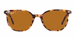 HAVANA BROWN GREY / havana / brown polarized