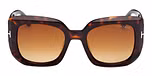 DARK HAVANA / DARK HAVANA / GRADIENT BROWN