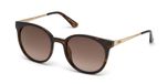 DARK HAVANA / GRADIENT BROWN