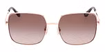 SHINY ROSE GOLD / SHINY ROSE GOLD / GRADIENT BROWN