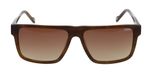 BROWN / Brown gradient