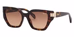 SHINY CLASSIC HAVANA / BROWN GRADIENT BROWN