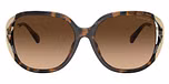 Dark Tortoise / Brown Gradient