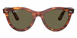 Striped Havana/Green polarized
