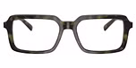 Olive Tortoise