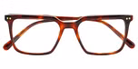 HAVANA (BROWN) MEDIUM SHINY