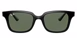 BLACK / black / dark green