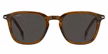 BROWN HORN (GREY) / ECO LIGHT ACETATE