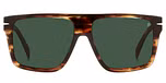 BROWN HAVANA / GREEN