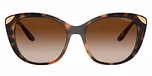 Dark Havana / Brown / Gradient Brown