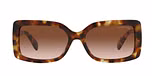 Jet Set Tortoise / Brown gradient