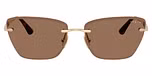 Pale Gold / Dark Brown