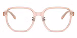Transparent Light Brown