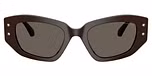 Chocolate / Chocolate Solid