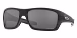POLISHED BLACK / black / prizm black polarized