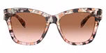 Pink Tortoise / Tortoise / Brown Pink Gradient