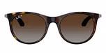 Havana / Tortoise / Light Grey Brown / Polarized