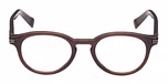 Shiny Dark Brown / Shiny Dark Brown