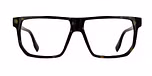 DARK TORTOISE