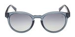 BLUE / OTHER / SMOKE POLARIZED